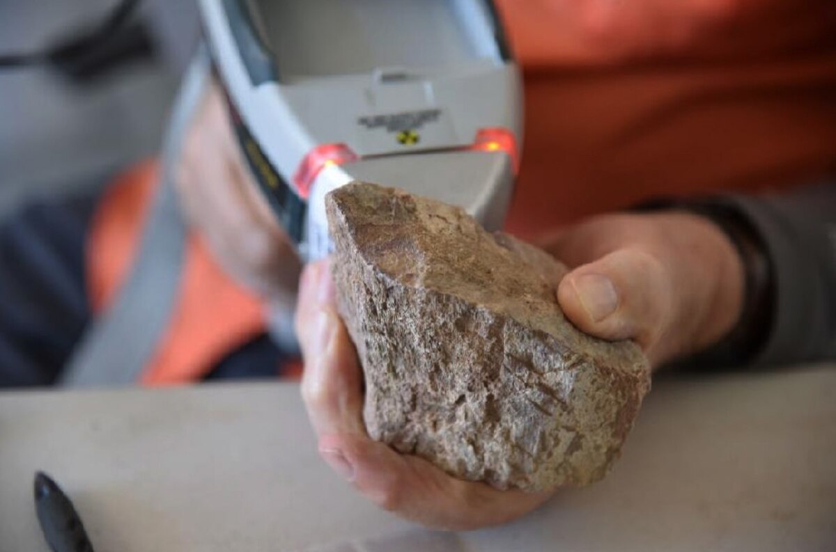 ギャラリー：恐竜化石の密輸で米国の4人起訴、押収された大量の化石