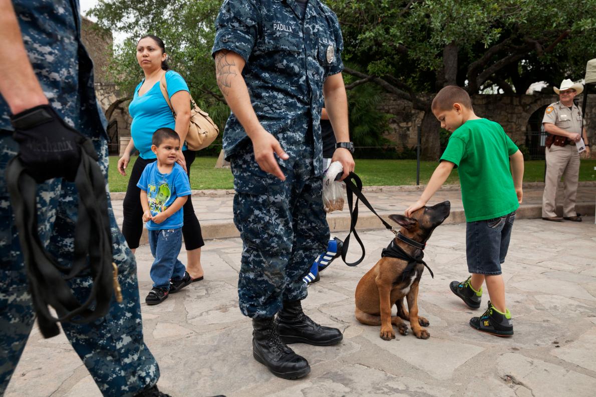 ギャラリー 優秀な軍用犬が誕生するまで 写真14点 ナショナルジオグラフィック日本版サイト