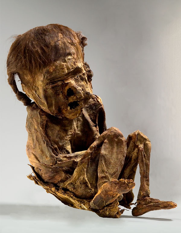 ギャラリー 特別展ミイラの展示品 古代エジプト インカから日本まで 写真14点 ナショナルジオグラフィック日本版サイト