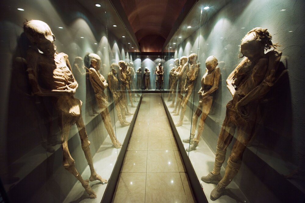 ギャラリー：見せ物か、人間か メキシコ世界遺産の町のミイラ展示 写真