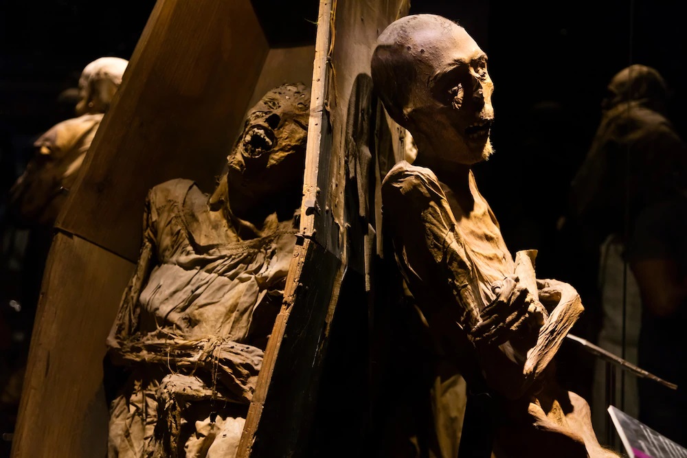 ギャラリー：見せ物か、人間か メキシコ世界遺産の町のミイラ展示 写真