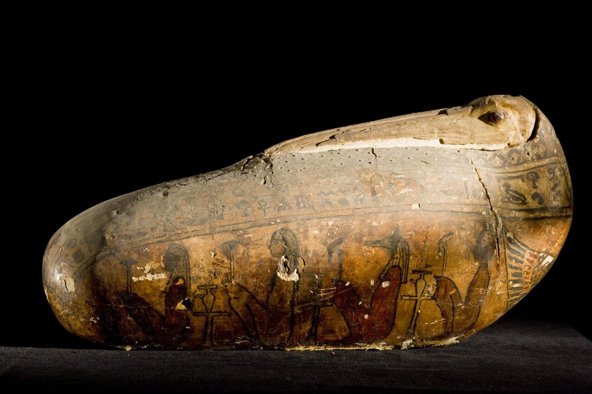 ギャラリー：古代エジプト、動物のミイラたち 写真12点 | ナショナル