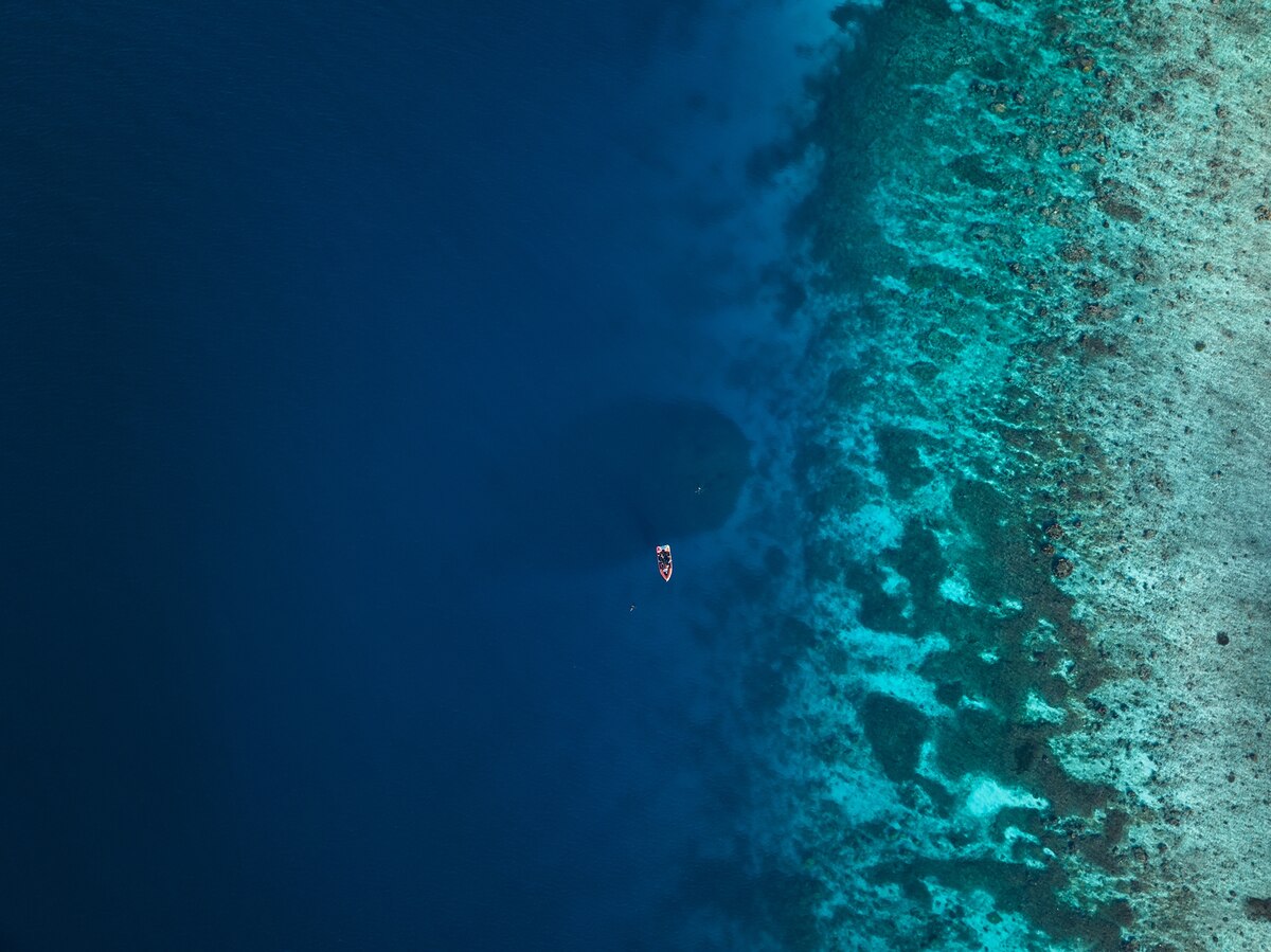 ギャラリー：世界最大のサンゴを発見、宇宙から見える巨大さ、南太平洋