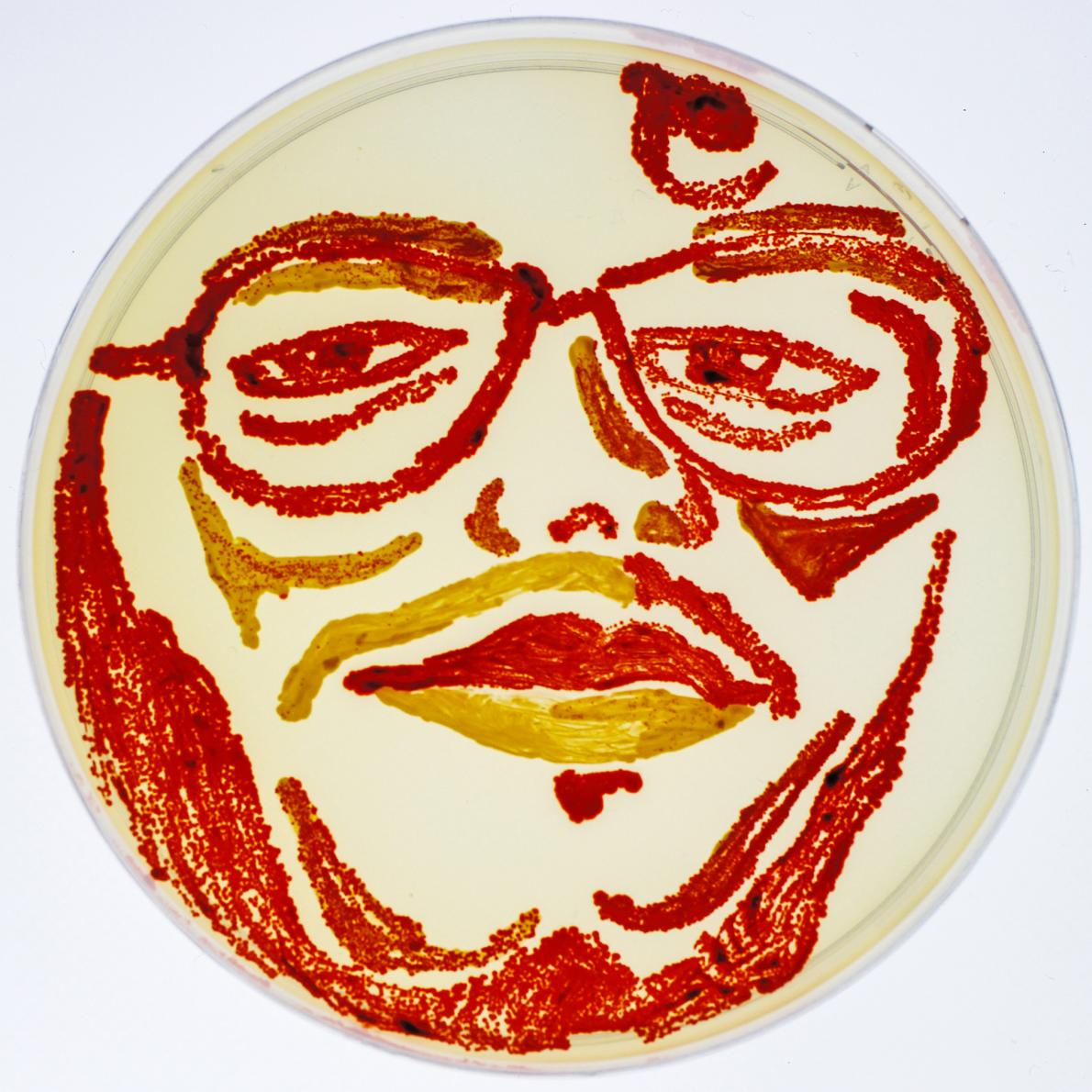 ギャラリー：生きている微生物で描いた驚きのアート 15点 | ナショナル