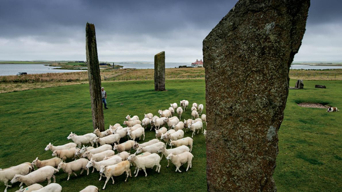 ギャラリー スコットランドとっておきの旅ガイド 写真10点 ナショナルジオグラフィック日本版サイト