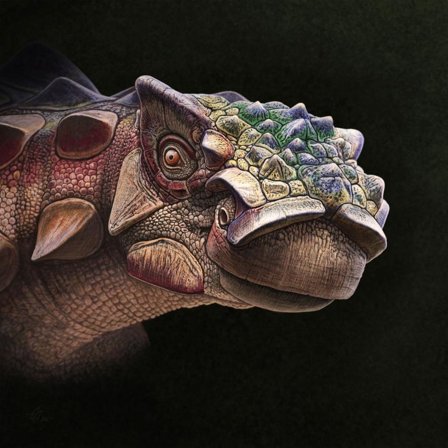 ギャラリー イラストでよみがえった恐竜 古代生物 12点 ナショナルジオグラフィック日本版サイト