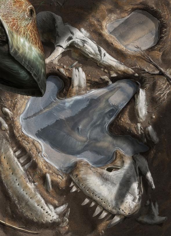ギャラリー イラストでよみがえった恐竜 古代生物 12点 ナショナルジオグラフィック日本版サイト ギャラリー イラストでよみがえった恐竜 古代生物 12点 ナショナルジオグラフィック日本版サイト