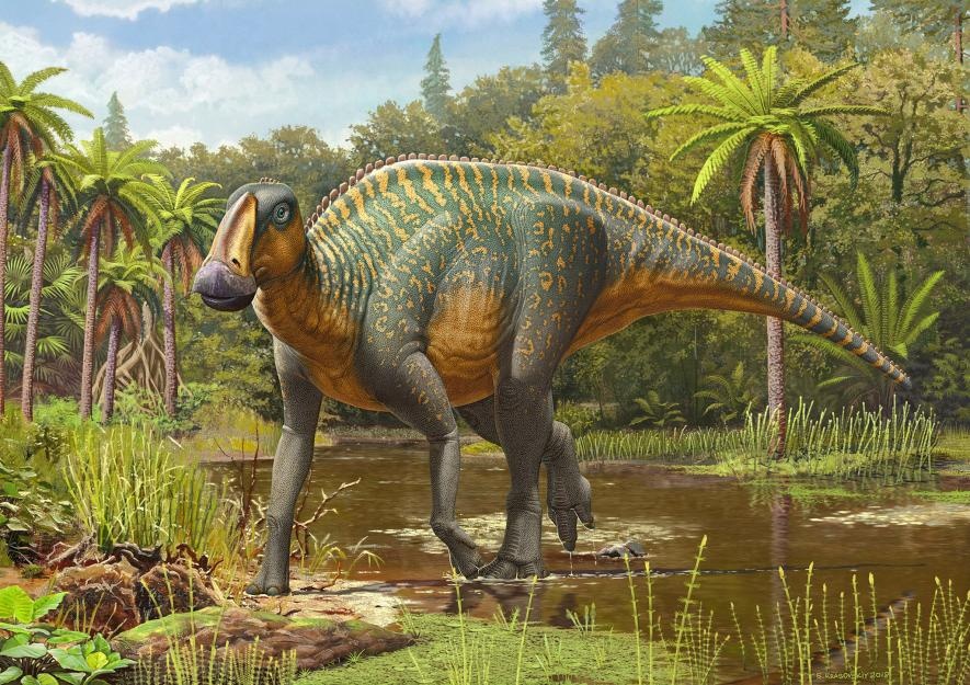 ギャラリー:イラストでよみがえった恐竜・古代生物 12点ナショナルジオグラフィック日本版サイト