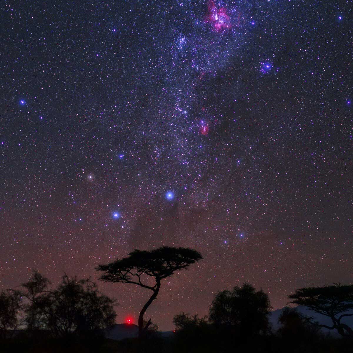 ギャラリー：星空ウォッチングで知っておきたい5つの星座 | ナショナル