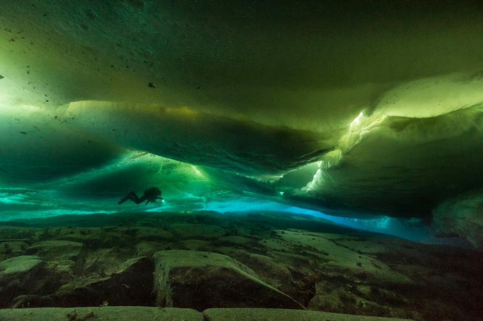 ギャラリー：南極の氷の下、水深70mの海で驚異の光景を見た 写真12点