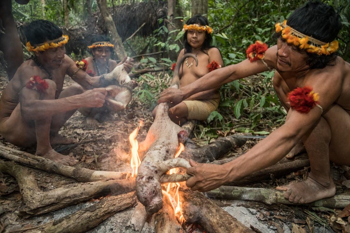 南米裸族 水浴び ギャラリー:アマゾン孤立部族の暮らし 写真33点 | ナショナルジオグラフィック日本版サイト
