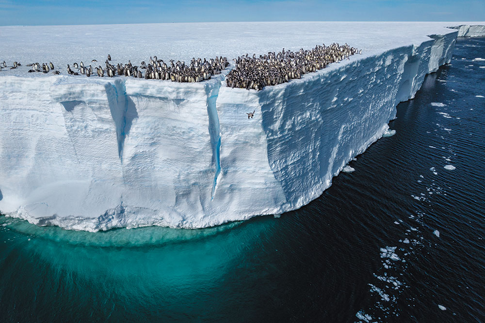 ギャラリー：驚きゾクゾクする考古学の発見2024年版 写真7点