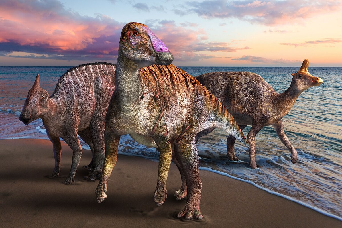 あひる5体 恐竜1体 （コリトサウルス - Jurassic World