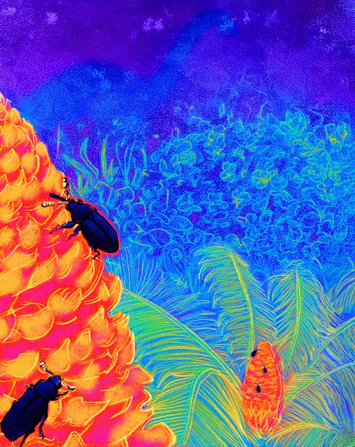 ギャラリー：植物が発熱し赤外線で昆虫を引き寄せると判明、初、「色