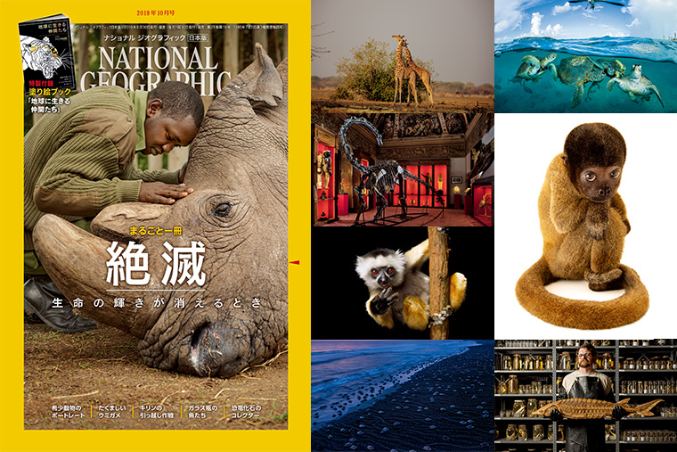 【雑誌】2019年10月号