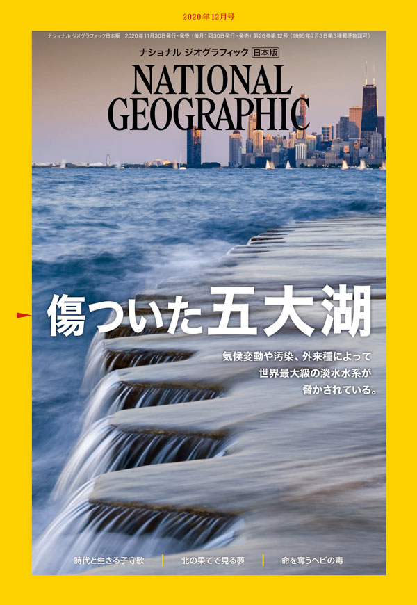 命を奪うヘビの毒 ナショナルジオグラフィック日本版サイト