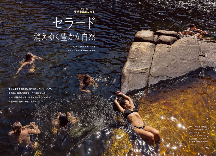 <u><a href="/atcl/news/25/021800088/" target="_blank">【地球を抱きしめる】セラードの自然</a></u>