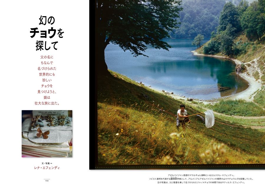 <u><a href="/atcl/news/25/021800091/" target="_blank">幻のチョウを探して</a></u>