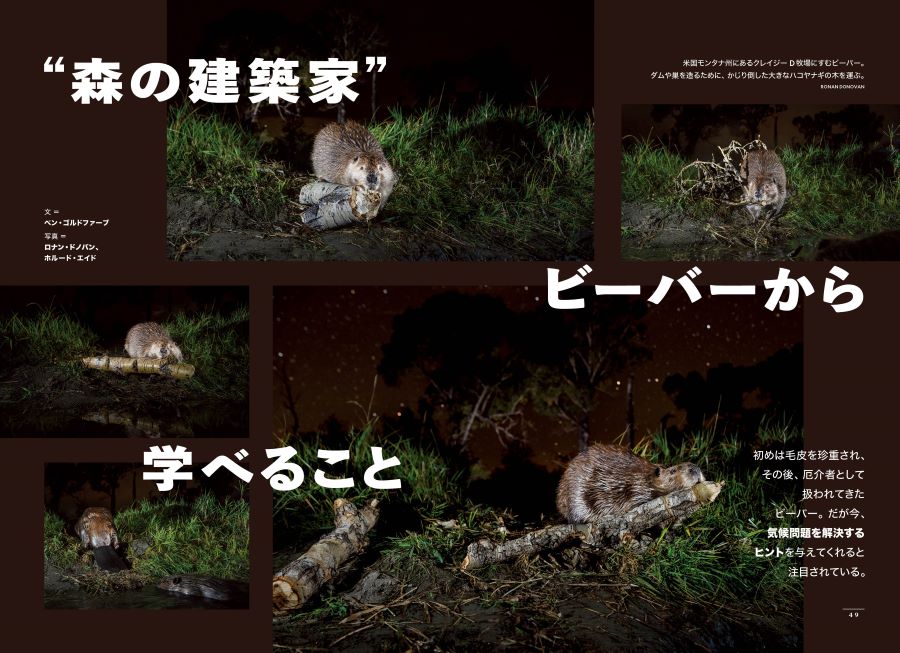 <div class="bpimage_title"><u><a href="/atcl/news/25/052000268/" target="_blank">ビーバーから学べること</a></u></div>