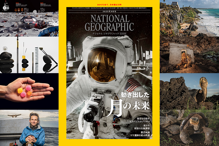 ナショナルジオグラフィック日本版サイト