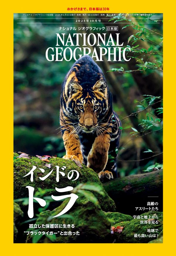 2013年のナショナルジオグラフィック 2013年のナショナルジオグラフィック Amazon.co.jp: NATIONAL