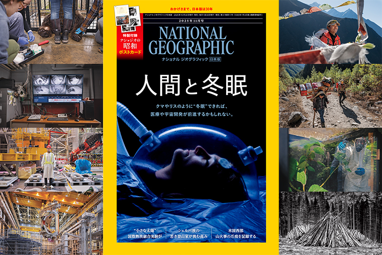 ナショナルジオグラフィック日本版サイト