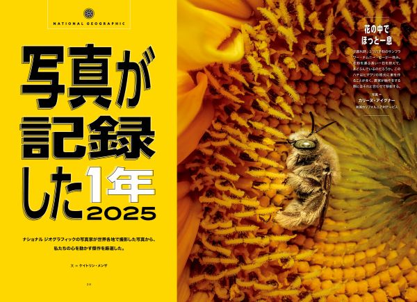 <div class="bpimage_title"><u><a href="/atcl/photo/stories/25/111700035/" target="_blank">写真が記録した2025</a></u></div>