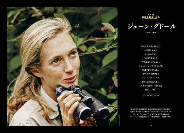 <div class="bpimage_title"><u><a href="/atcl/news/25/111700632/" target="_blank">【地球を抱きしめる】追悼 ジェーン・グドール</a></u></div>