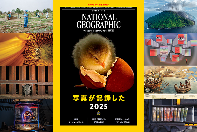 ナショナルジオグラフィック日本版サイト