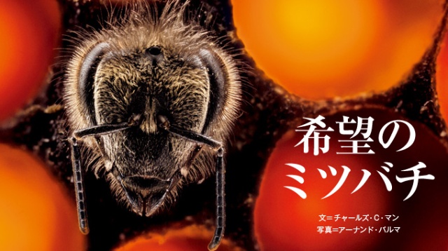 ナショナルジオグラフィック