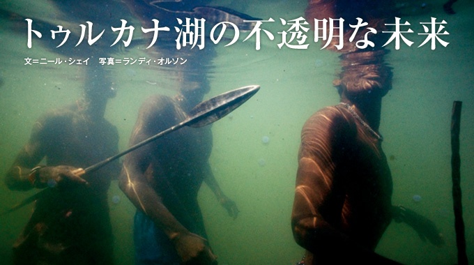 ナショナルジオグラフィック日本版サイト