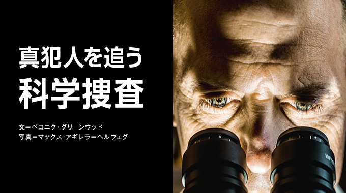 ナショナルジオグラフィック