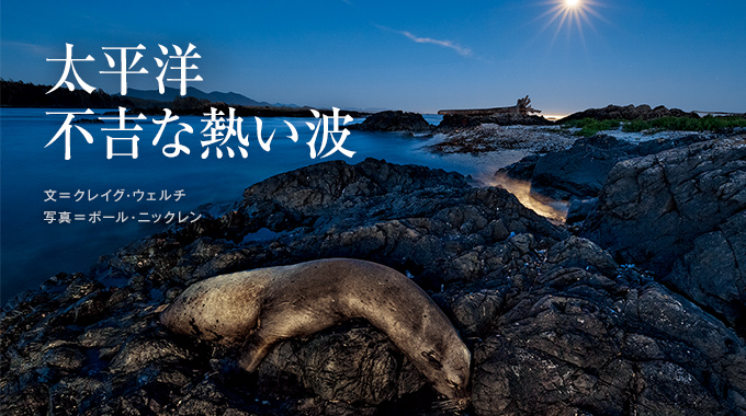 太平洋　不吉な熱い波