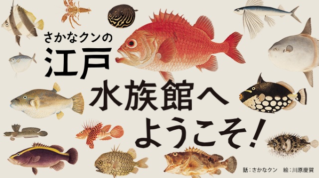 さかなクンの江戸水族館 ナショナルジオグラフィック日本版サイト さかなクンの江戸水族館 ナショナルジオグラフィック日本版サイト