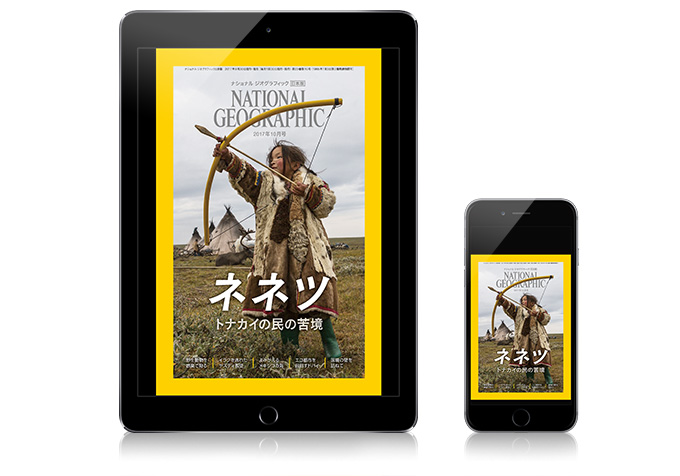 スマホ・タブレットで楽しむ