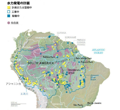アマゾンの巨大ダムが7割の動物を絶滅させる恐れ ナショナルジオグラフィック日本版サイト
