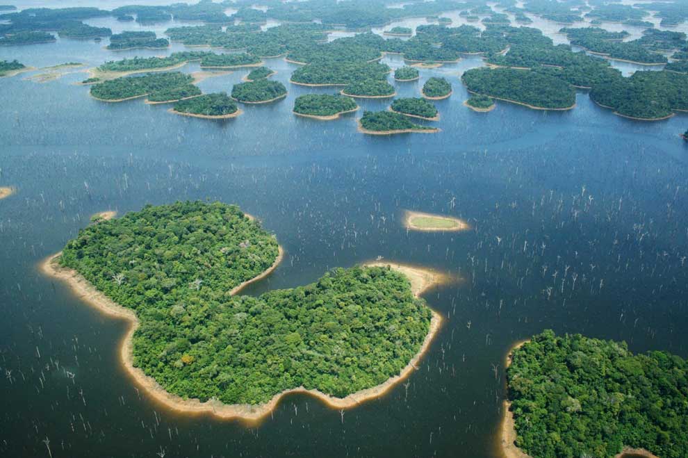 アマゾンの巨大ダムが7割の動物を絶滅させる恐れ ナショナルジオグラフィック日本版サイト