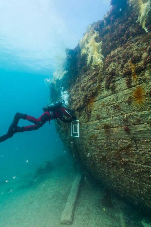 19世紀に北極海に沈んだ探検船の内部が明らかに ナショナルジオグラフィック日本版サイト 19世紀に北極海に沈んだ探検船の内部が明らかに ナショナルジオグラフィック日本版サイト