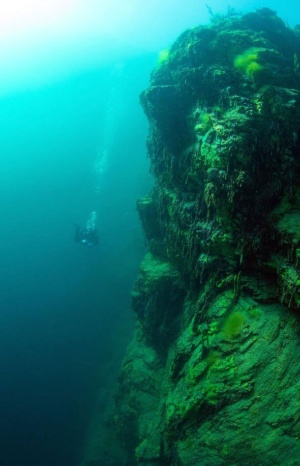 グリーンスライムがバイカル湖で大発生 ロシア ナショナルジオグラフィック日本版サイト グリーンスライムがバイカル湖で大発生 ロシア ナショナルジオグラフィック日本版サイト