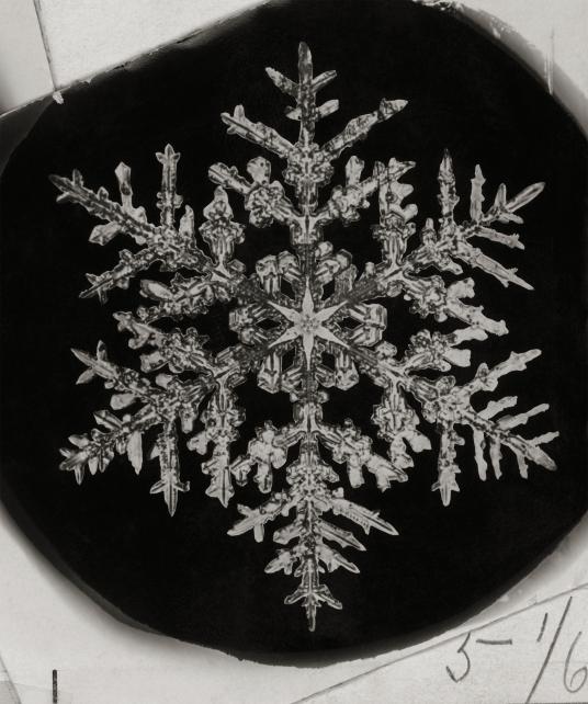 世界で初めて撮影された雪の結晶ギャラリー  ナショナルジオ 