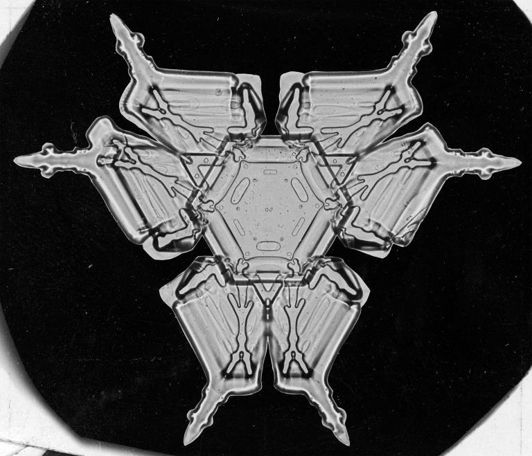 世界で初めて撮影された雪の結晶ギャラリー | ナショナル ジオ