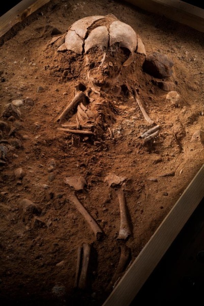 8400年前の赤ちゃんを発見 ベルリン近郊 ナショナルジオグラフィック日本版サイト 8400年前の赤ちゃんを発見 ベルリン近郊 ナショナルジオグラフィック日本版サイト