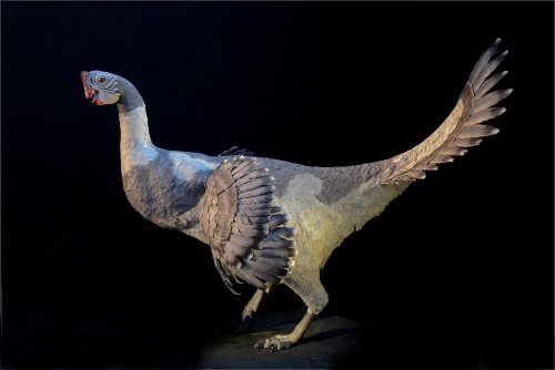 驚きの恐竜展を開催 もはや鳥展 米nyで ナショナルジオグラフィック日本版サイト 驚きの恐竜展を開催 もはや鳥展 米nyで ナショナルジオグラフィック日本版サイト