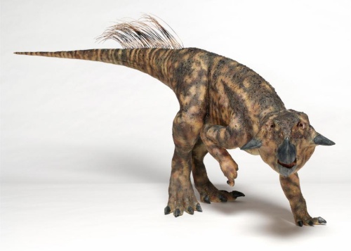 驚きの恐竜展を開催 もはや鳥展 米nyで ナショナルジオグラフィック日本版サイト 驚きの恐竜展を開催 もはや鳥展 米nyで ナショナルジオグラフィック日本版サイト