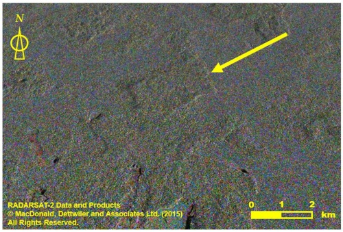 マヤ遺跡 発見 の少年 批判のおかげで前進 ナショナルジオグラフィック日本版サイト マヤ遺跡 発見 の少年 批判のおかげで前進 ナショナルジオグラフィック日本版サイト