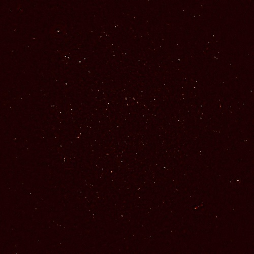 電波波長で観測したミーアキャットの画像。点のひとつひとつが遠く離れた銀河。(Photograph by MeerKAT)