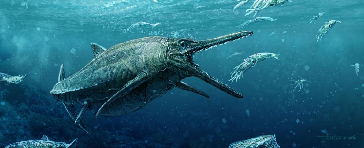 およそ1億2千万年前のカライワシの仲間、絶滅古代魚