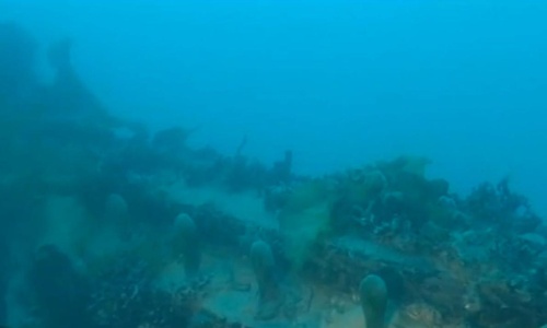 19世紀に消えた北極探検船テラー号ついに発見 ナショナルジオグラフィック日本版サイト 19世紀に消えた北極探検船テラー号ついに発見 ナショナルジオグラフィック日本版サイト