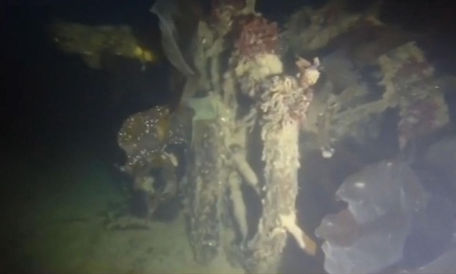 19世紀に消えた北極探検船テラー号ついに発見 ナショナルジオグラフィック日本版サイト 19世紀に消えた北極探検船テラー号ついに発見 ナショナルジオグラフィック日本版サイト