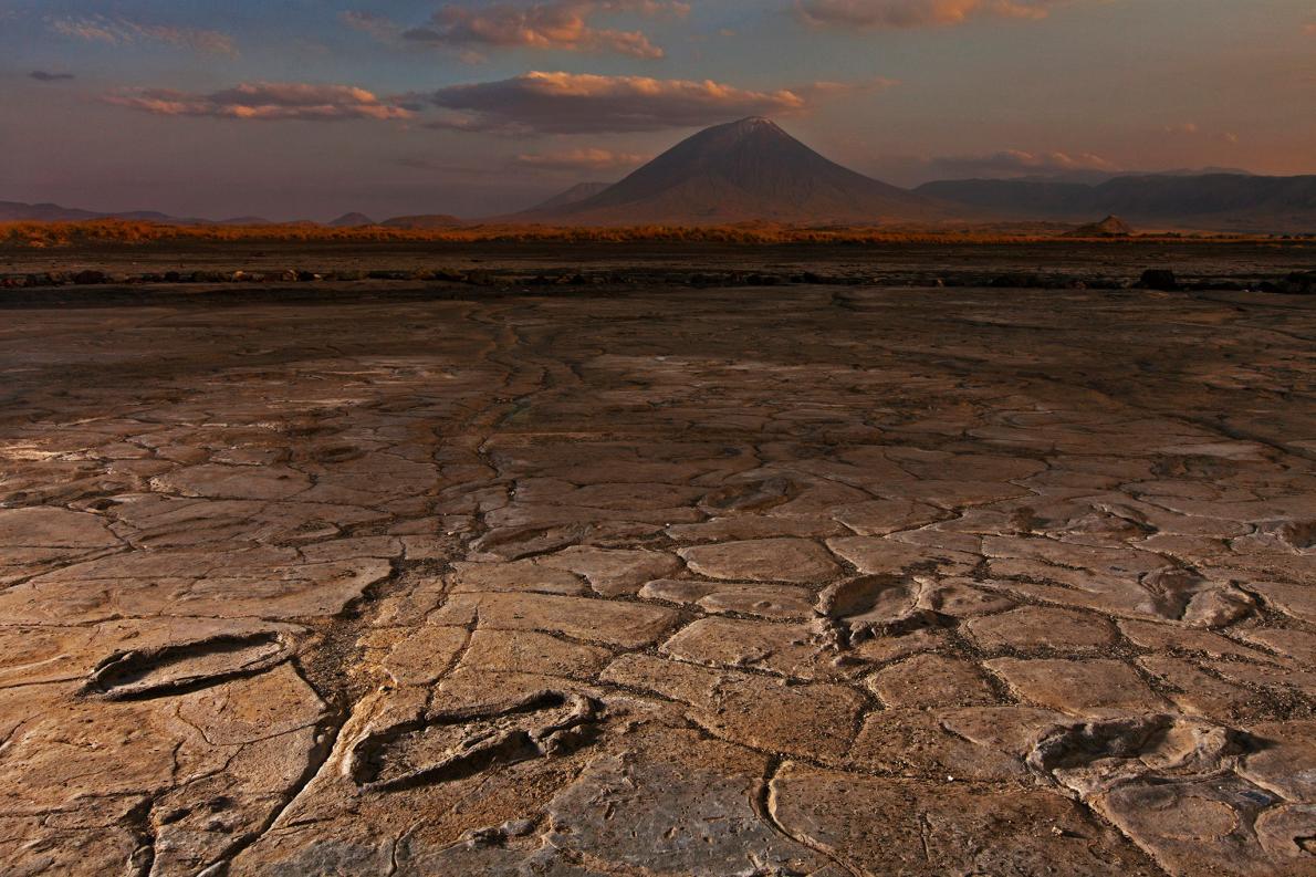 古代人の謎の足跡400個超 年代と成因が明らかに ナショナルジオグラフィック日本版サイト